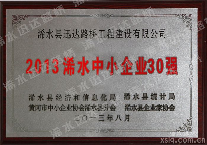 2013年中小企业30强