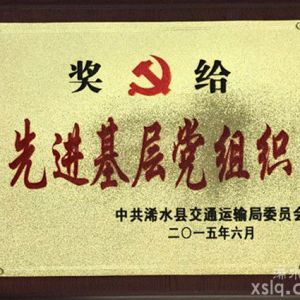 2015年县交通运输局：先进基层党组织