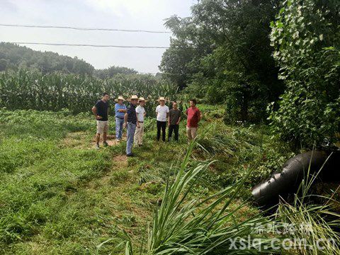 固基防汛，路桥公司全力保障公路畅行